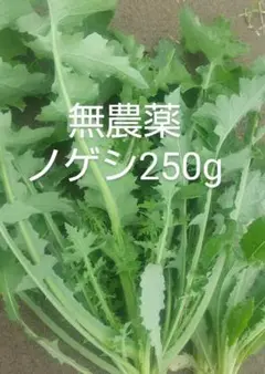 Item thumbnail for item f0da68c3-5b86-4abe-931e-14799436c654