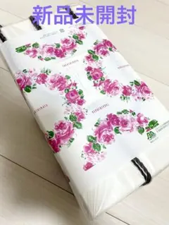 Item thumbnail for item ed3a3999-5e65-4940-8ede-f3e13b22087d