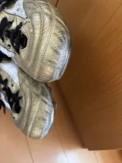 モレリア