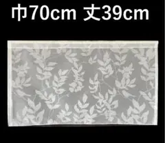 カフェカーテン　※AB2841