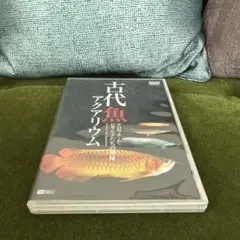2025年最新】古代魚 ピラルクの人気アイテム - メルカリ
