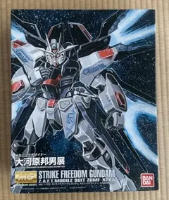 2025年最新】MG ストライクフリーダム 大河原邦男の人気アイテム