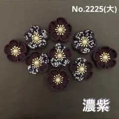 Item thumbnail for item 036c50a7-468b-4b73-910f-9b57a3fabab6