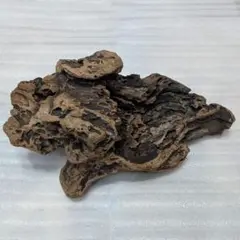 Item thumbnail for item a24255ac-93c2-49a7-83c9-a386485a3e30