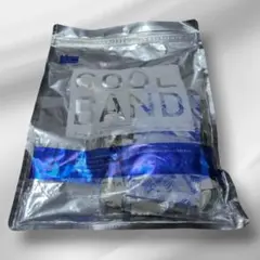 Item thumbnail for item 2c170704-37d8-4049-a86f-80516270925b