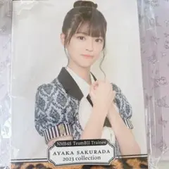 Item thumbnail for item 41adbb6e-48d7-4793-9570-30fc7f50bac4