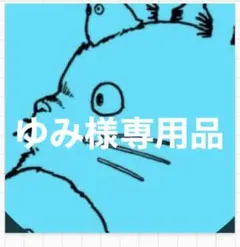 エナジースリム120粒×2袋
