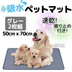 Item thumbnail for item 12ffc561-6152-4211-9b06-eded942d3f59