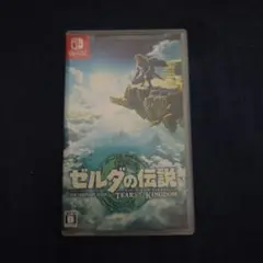 ゼルダの伝説 ティアーズ オブ ザ キングダム