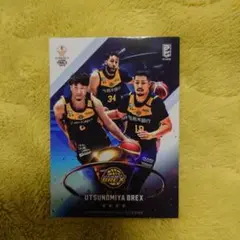 Bリーグ ファイナル ステッカー