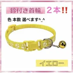 Item thumbnail for item 2c0b6a2e-2563-40a2-af9a-692eab8b3c5e