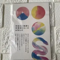 年賀状じまい2025（新年お知らせ）私製10枚入りパピレイ 年賀状 蛇