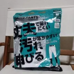 MIZUNO　ガチパンツ　Mサイズ ショートフィットタイプ　野球