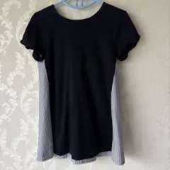 ギャラリービスコンティ　Tシャツカットソー　サイズ2(M)