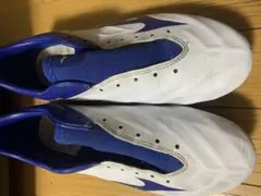 ミズノレビュラ