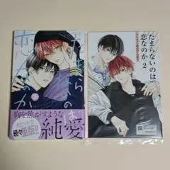 たまらないのは恋なのか 2　小冊子　新品