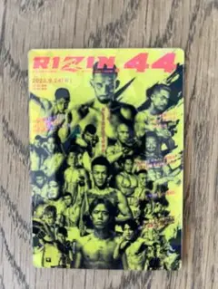 RIZIN 44 カード