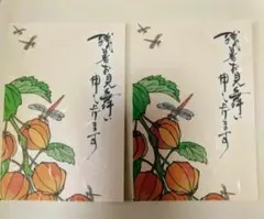 残暑お見舞い　夏　ポストカード　２枚♡赤とんぼとホオズキ