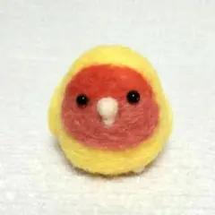 コザクラインコ　ルチノーチェリー