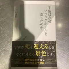 宇宙はなぜブラックホールを造ったのか