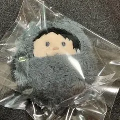 文豪ストレイドッグス　芥川龍之介　くるみたぴぬい