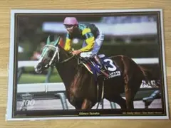 サイレンススズカ　フォト　A4 JRA 競馬　宝塚記念