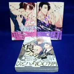 溢れて零れて、我慢できない overflow / うそつきと狼
