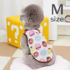 Item thumbnail for item 16804e45-28ba-4167-bed8-f015b4147e28