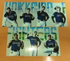 日ハム WE LOVE HOKKAIDO 限定ステッカー コンプリート
