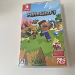 Minecraft Nintendo Switch版