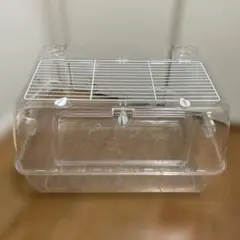 Item thumbnail for item 31b65e25-59a5-4698-aa71-e3c47c3e6359