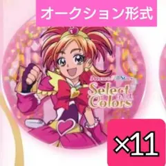キュアブルーム 缶バッジ11個 セレクトカラーズ プリティストア