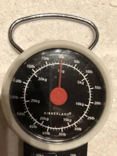 トラベル用スケール