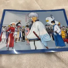 銀魂展　はたちのつどい　クリアファイル