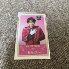 EBiDAN THE LIVE 2025 エビライ トレカ ハル