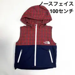 ノースフェイス ベスト 100