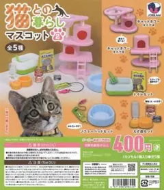 【8月新商品！！】【コンプリート！！】猫との暮らしマスコット2