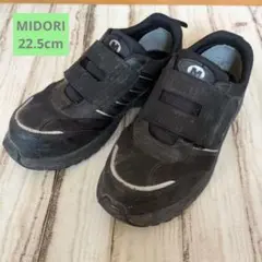 Item thumbnail for item a4280aa9-c8a2-42f5-b0ad-c28bcbf053ca