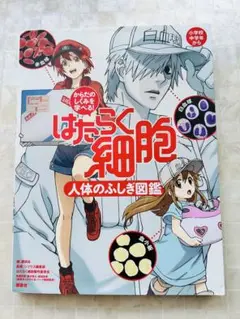 はたらく細胞人体のふしぎ図鑑 からだのしくみを学べる!