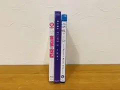 Item thumbnail for item c58068e2-c26c-415c-b4fb-393ca9666f38