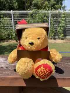くまのプーさん ボックス入りぬいぐるみ 約20cm