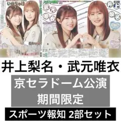 櫻坂46 京セラドーム公演 限定新聞 井上梨名 武元唯衣 2部セット