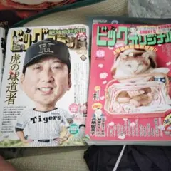 ビッグ オリジナル 2冊