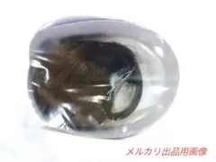 Item thumbnail for item 89f38960-20f9-404c-bfe5-edbc9e030430