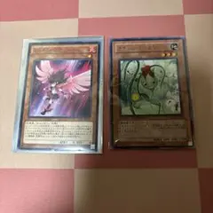 レッドノヴァ　ナチュルローズウィップ