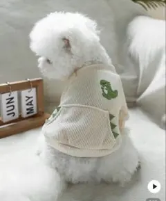 Item thumbnail for item ccfe9234-b2a8-48e4-85e5-39dada1d0ae5