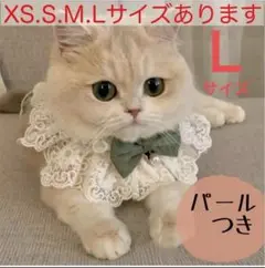 Item thumbnail for item 2418c772-5ced-4bdf-9008-7bc6121572e3