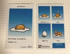 サンリオ　証明写真　ぐでたま