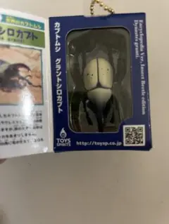 ミニチュア標本付き昆虫図鑑　カブトムシ　ブルーフレイム　C.グラントシロカブト