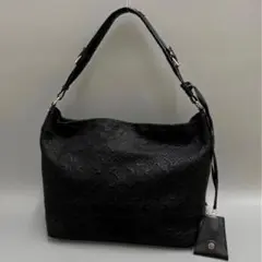 ★極美品♪LOUIS VUITTON アンティア ホーボーPM★